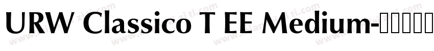 URW Classico T EE Medium字体转换